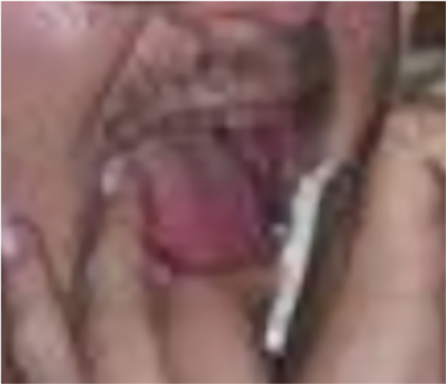 Further Toxicology tests must be performed in regard Ryan Bosse's cause of death.